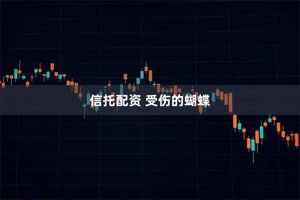 信托配资 受伤的蝴蝶