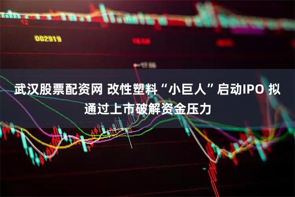 武汉股票配资网 改性塑料“小巨人”启动IPO 拟通过上市破解资金压力